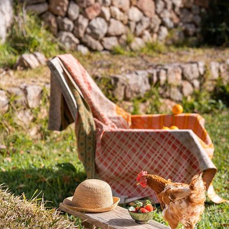 Agroturismo Son Viscos Valldemossa  Buitenkant foto