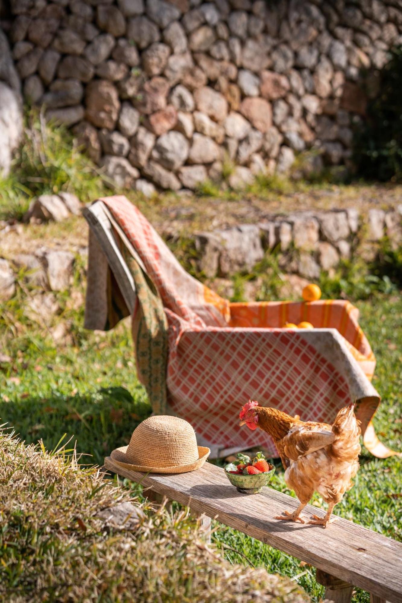Agroturismo Son Viscos Valldemossa  Buitenkant foto