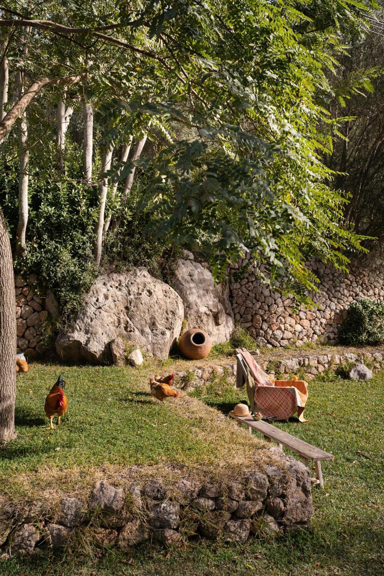 Agroturismo Son Viscos Valldemossa  Buitenkant foto